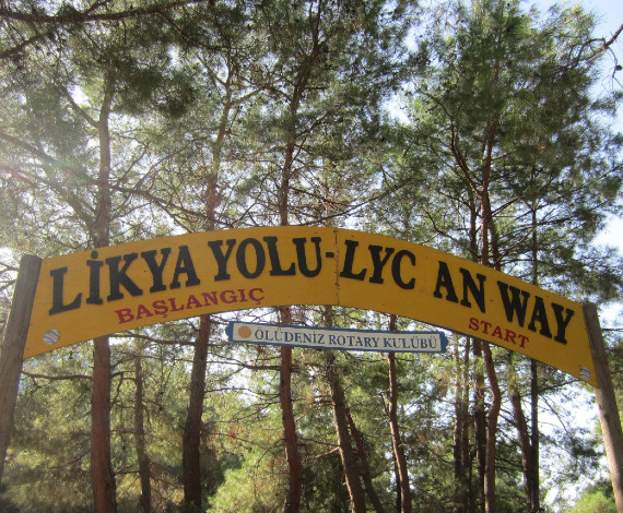 Turkey description | 2015